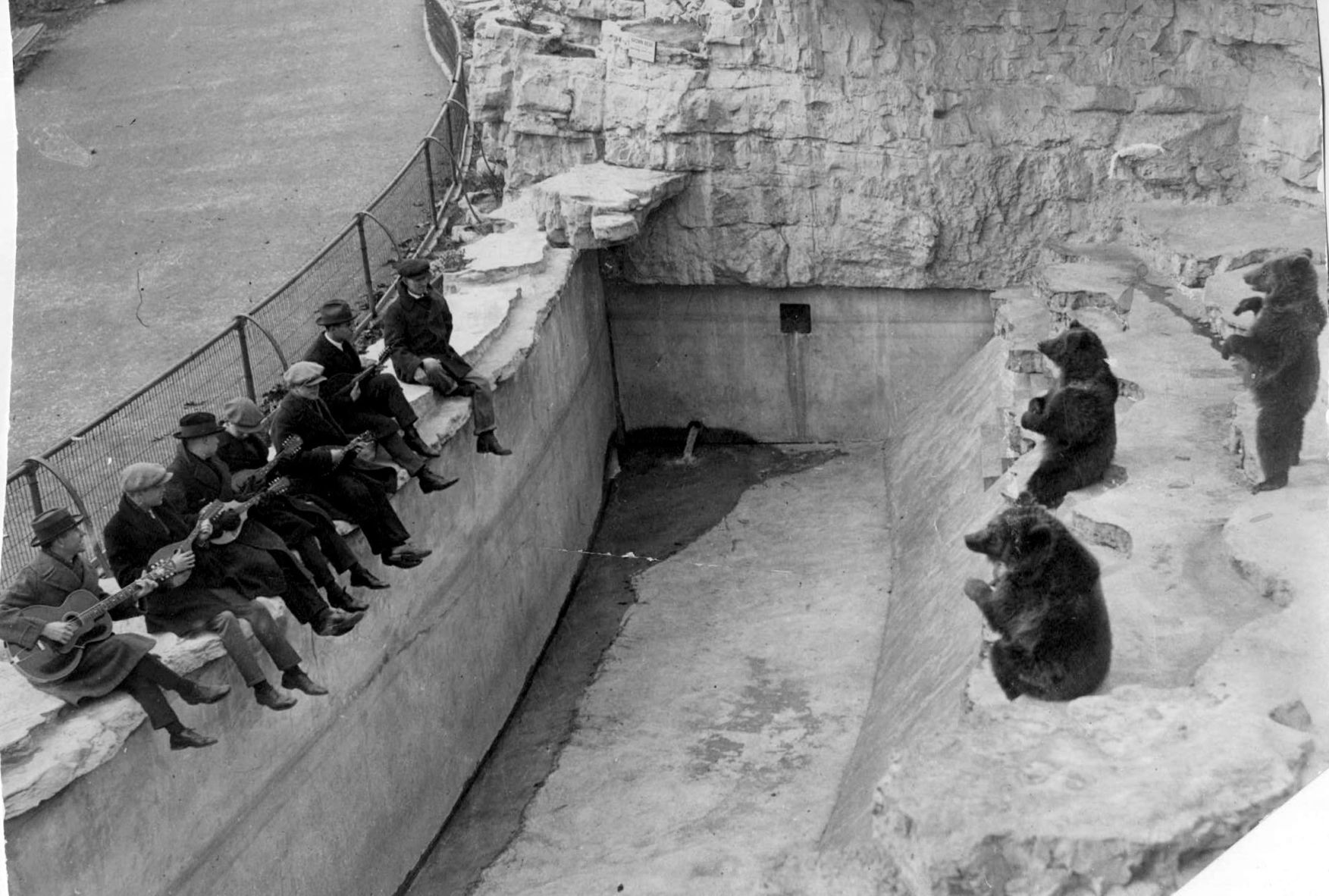 Bears at the St. Louis Zoo in 1923